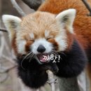 오롯이오늘 이미지