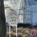 감성더하기 인생 업사이클 | 창원 아이와 가볼만한곳 : 주남농부더하기 딸기체험 &amp; 케이크 만들기 후기