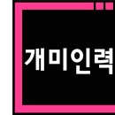 (주)개미인력