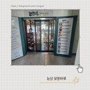 묘한하루 이미지