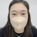 펄미에이트 이미지