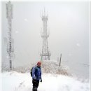 팔공산힐링 이미지