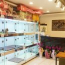 마루애견 이미지