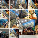 삼평동739-1 | 손상원클라이밍짐으로