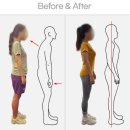 토니바디PT& 건대점 | [건대헬스장 PT] 짐레빗 건대점 김봉주 선생님 레슨 가격 알아보기!