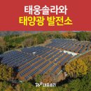태웅태양광발전소 이미지