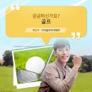 나로스크린골프 이미지