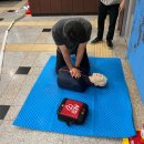 부천시교통정보센터 이미지