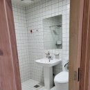 솔레올레 이미지