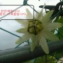 범박로 네이버블로그