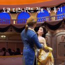 도쿄 디즈니랜드 입장권 인기어트렉션 퍼레이드 dpa 관람 후기 및 맛집