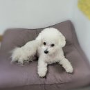 (주)유노테크 이미지