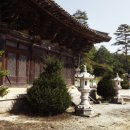 숲속의아침민박펜션 이미지