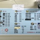 완도회어시장
