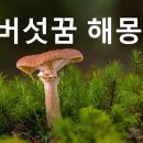 색을담는꿈 이미지