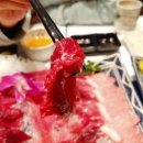 솔참치