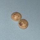 밥에김가담 | ♥