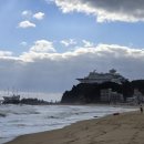 정동진역 이미지