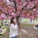 반송보건진료소 | 봄이 좋은 봄청이(부제:네버엔딩 벚꽃놀이)