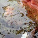 동면 생태친구들 이미지