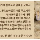 베이비블루하우스
