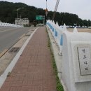 포항수협월포가공공장 티스토리