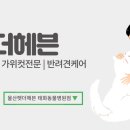 펫더헤븐 태화동물병원점 이미지