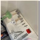 네코스토리 (서울 본점) 고양이 무료 분양 이미지