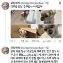 컴수리 - 안산시 상록구 감골공원길 10 | 컴수리