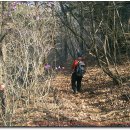 용암2리 이미지