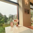 로지쿠아