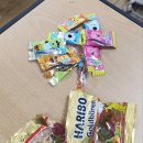 현민네분식 | 260103