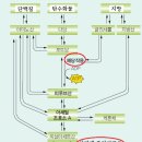 트레이닝론 이미지