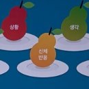 포무플랜트