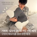 츄츄컴퍼니 | 구르미 경추베개ㅣ베개 바꿨더니 아침이 달라졌다 3주 사용 후기