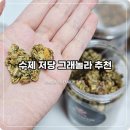 모찌얌얌