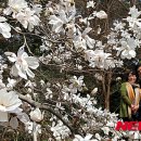 태안 인쇄 이미지