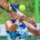 장수정 개인전 이미지