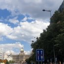 초심민박 이미지