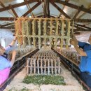 분도농장 이미지