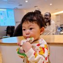 힘쎈수달 | 광교 아쿠아리움 아기랑 다녀온 후기 (15개월 아들)