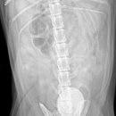 온새동물의료센터 이미지