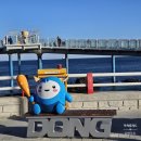 동해 묵호항 수산시장 전망대활어회센터 스카이밸리 해랑전망대