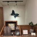 유엔로 | 버터향 가득한 스콘과 커피의 조화, 대연동카페 ‘카페 그리다’ 방문 후기