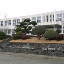 해룡초등학교 이미지