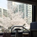 노원행복도서관 | 노원 경춘스테이션북앤커피, 21개월 아기랑 무궁화호 기차 카페 도서관 나들이