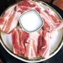 해오름껍데기 이미지