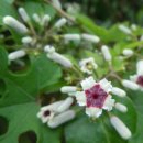 돌산공원 이미지