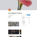 파카로직 | 노션으로 드림보드 만들기 줌 강의 후기 (리치맘 세이닝님)
