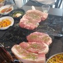 요기소먹으면돼지 이미지